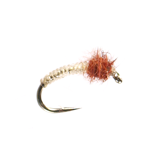 Cream Midge Larvae