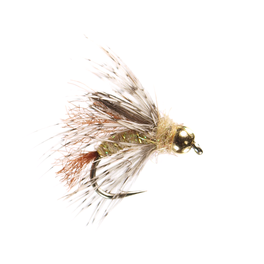 Beadhead Partridge Caddis