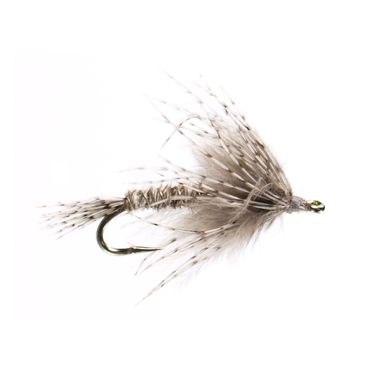 Softhackle Callibaetis