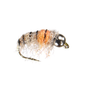 Rainbow Czech Nymph - Orange