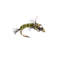 Tung Teaser - Olive