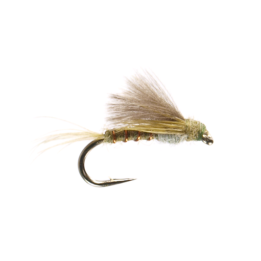 RS2 - Olive