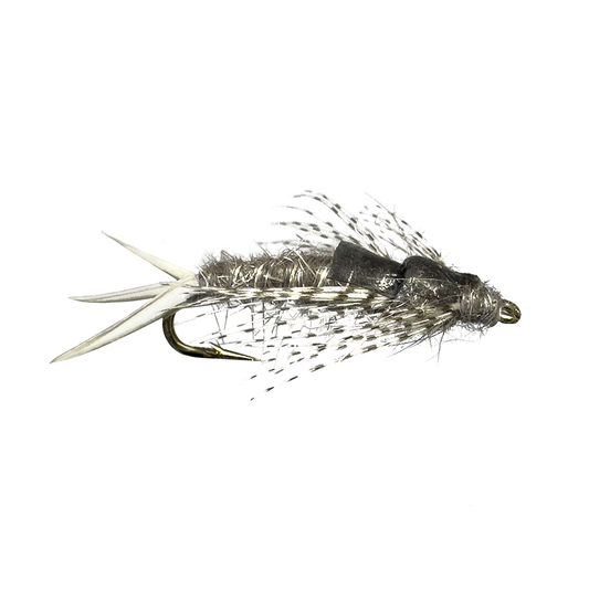 Poxyback Callibaetis