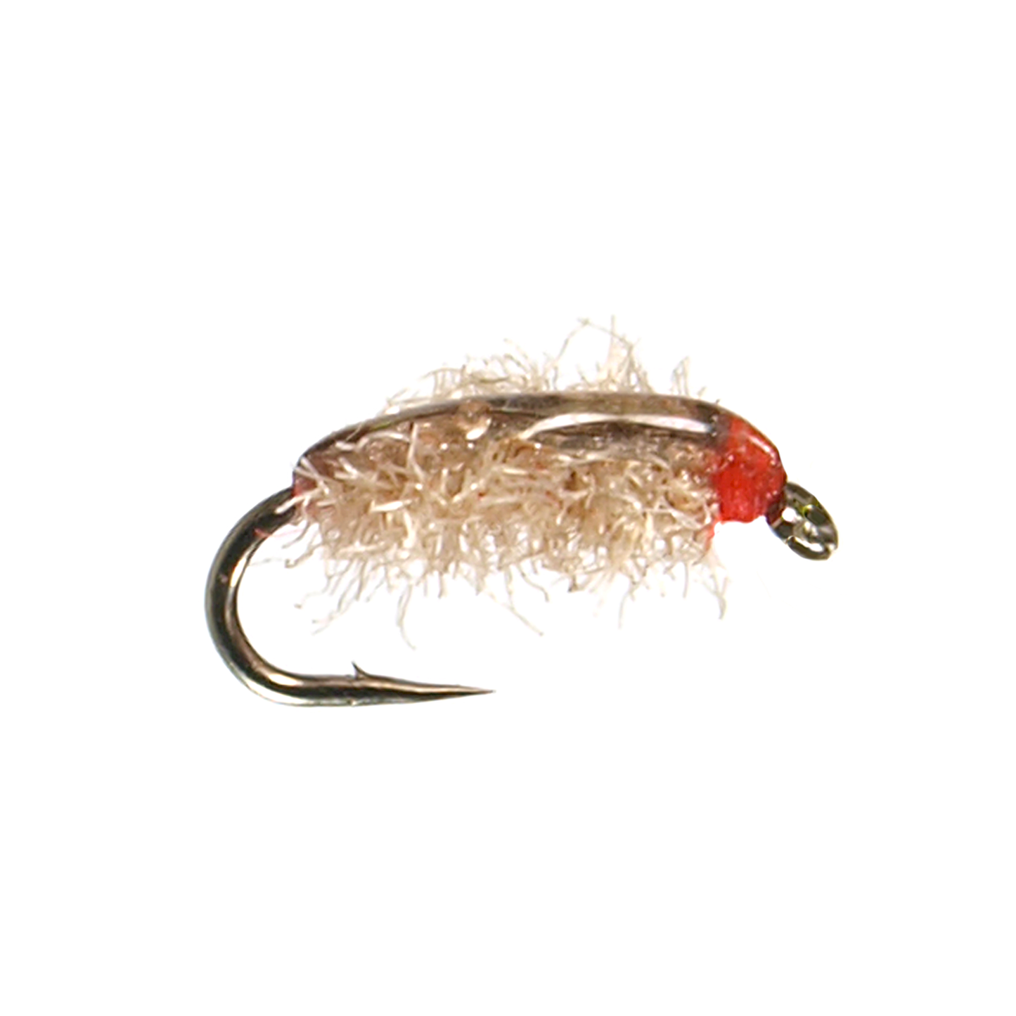 Poxyback Sowbug