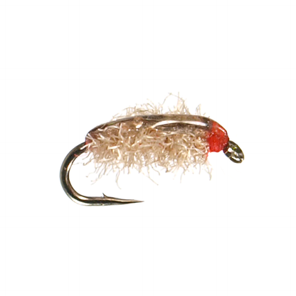 Poxyback Sowbug