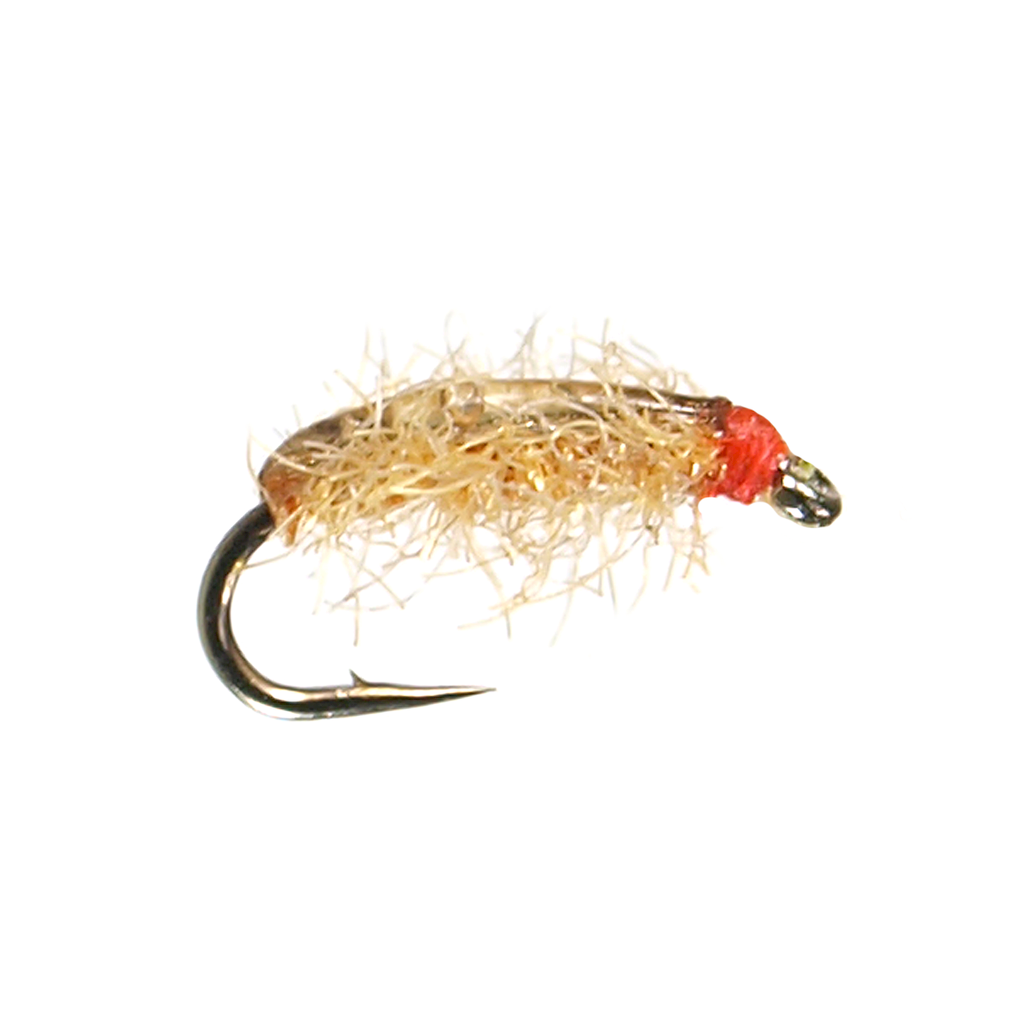 Poxyback Sowbug