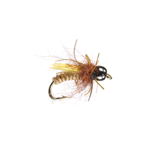 Gold Member Nymph