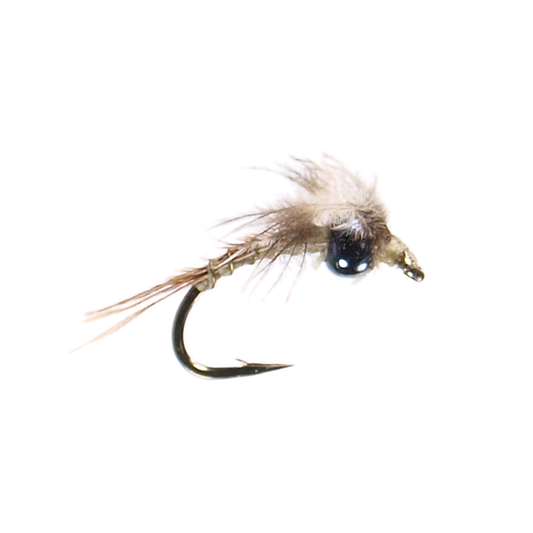 Preseason 2026 Glass Bead Wonder