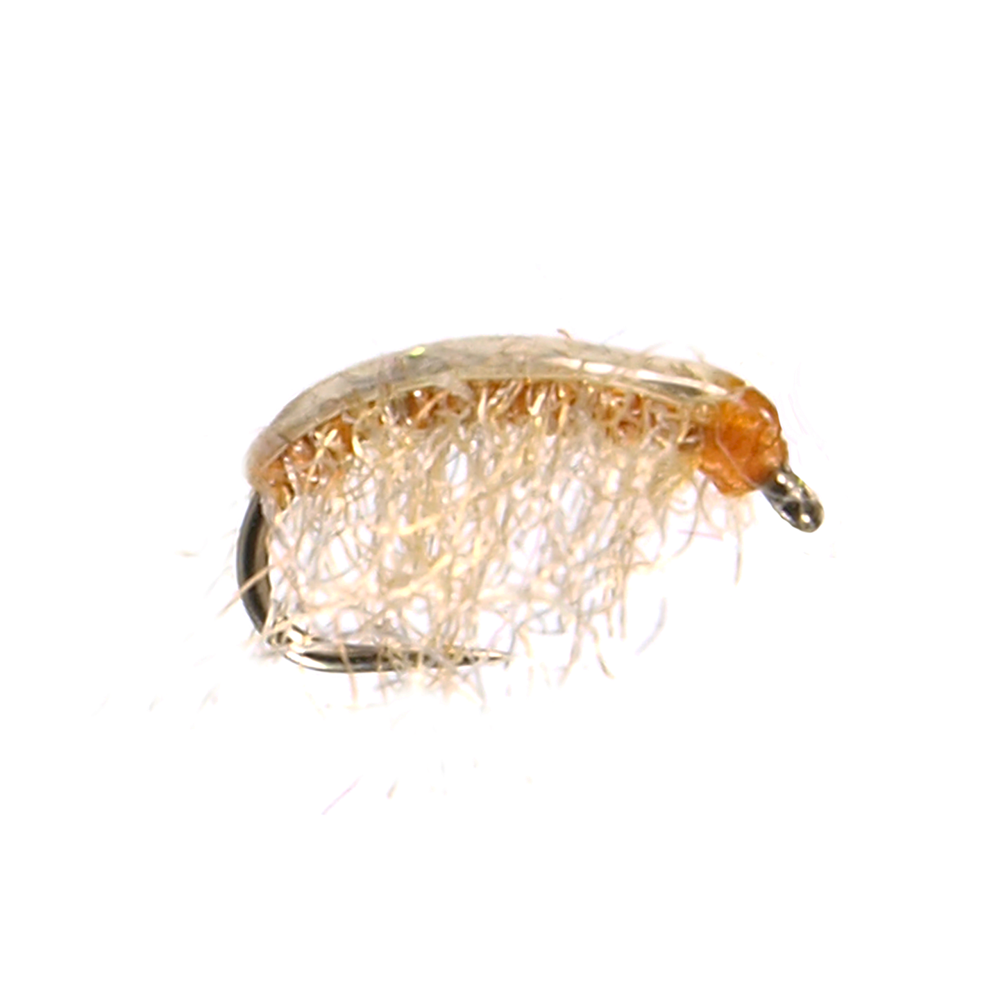 Poxyback Scud