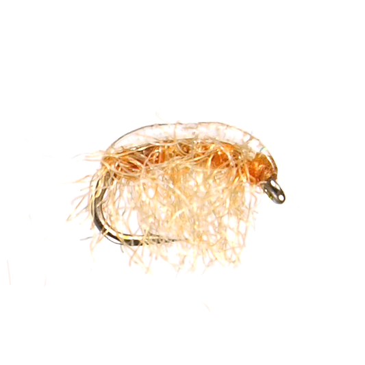 Preseason 2026 Poxyback Scud