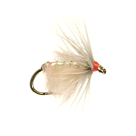 Preseason 2026 Soft Hackle Ray Charles