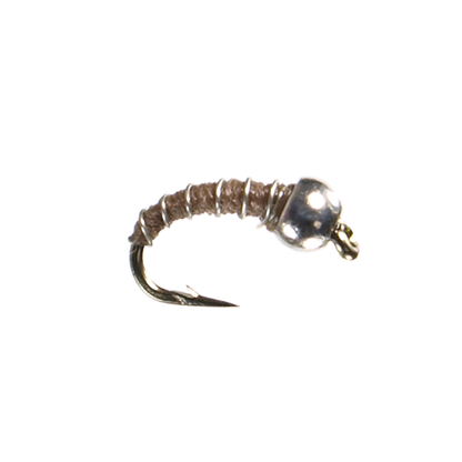 Tungsten Zebra