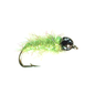 Bloom's Weight Fly