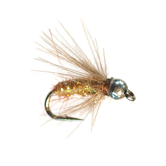 Bloom's Tung Dart