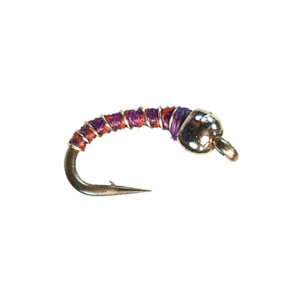 Tungsten Zebra