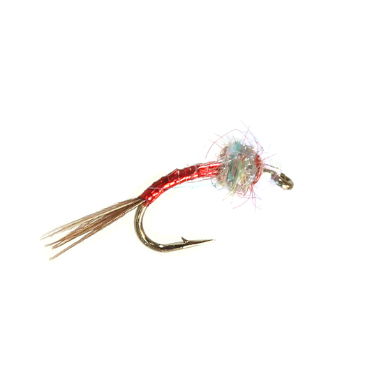 Rainbow Warrior - Red
