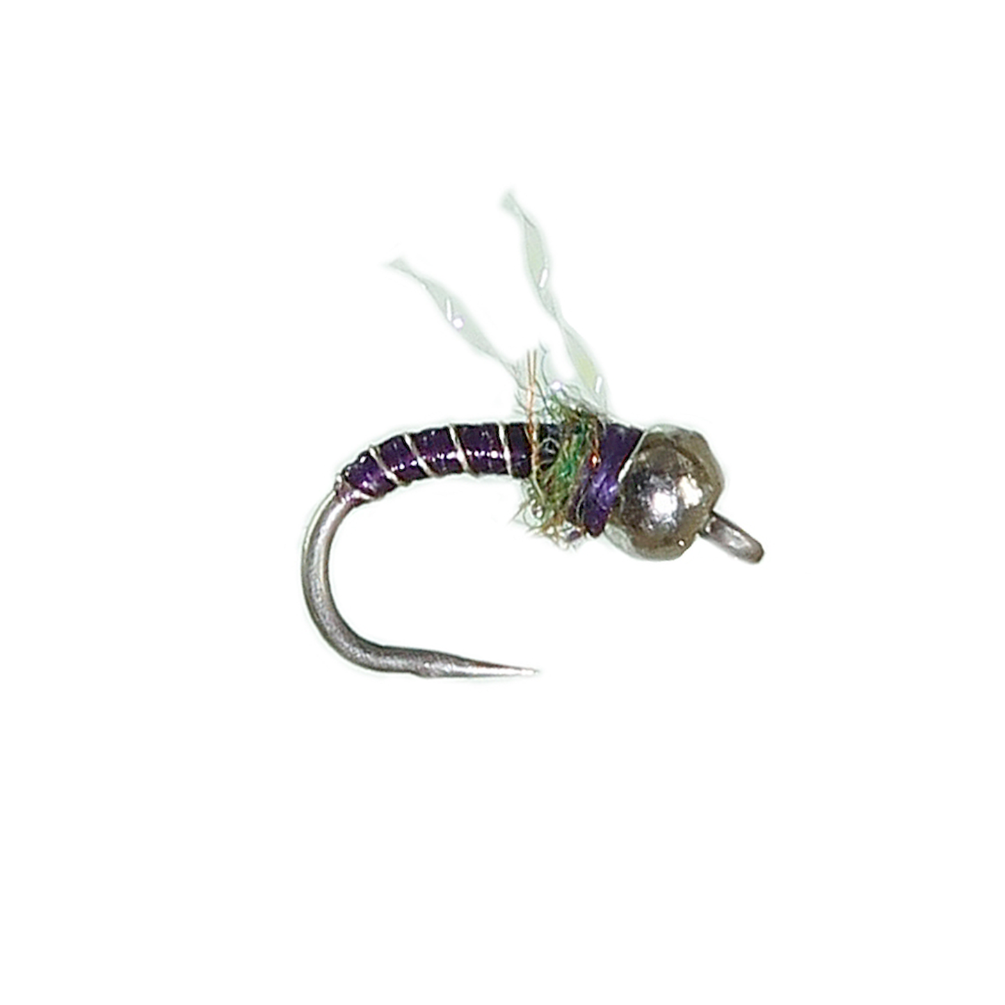 Bloom's Flying Zebra