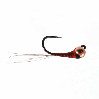 YFG's Tung Drop
