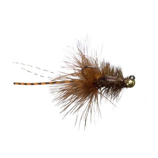 Preseason 2026 McFly's McCraw