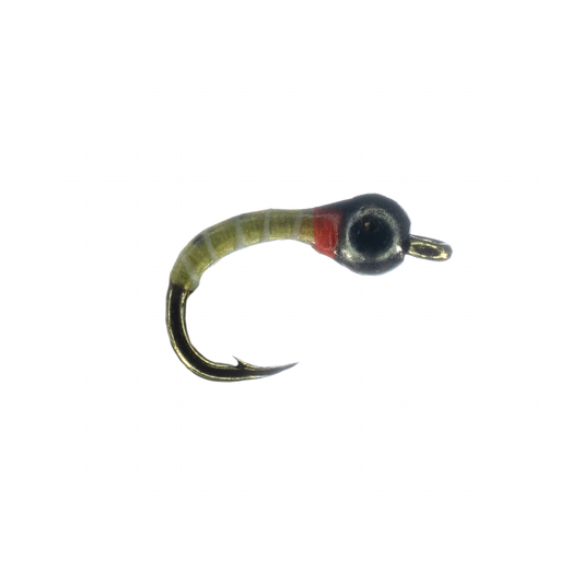 YFG's El Tigre - Olive