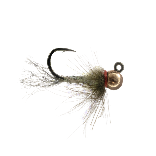 Stocker's Mosason