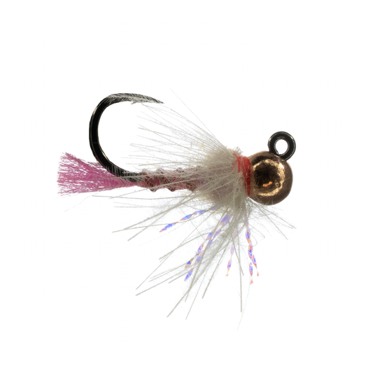 Stocker's Mosason - Pink