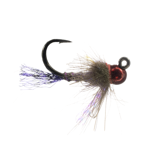 Stocker's Mosason - Purple