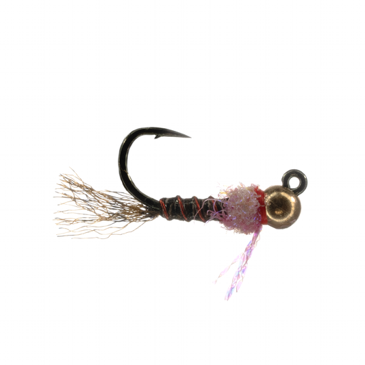 Stocker's Francheska