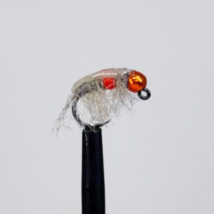 Lulow's Pimp Shrimp
