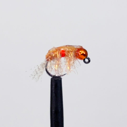 Lulow's Pimp Shrimp