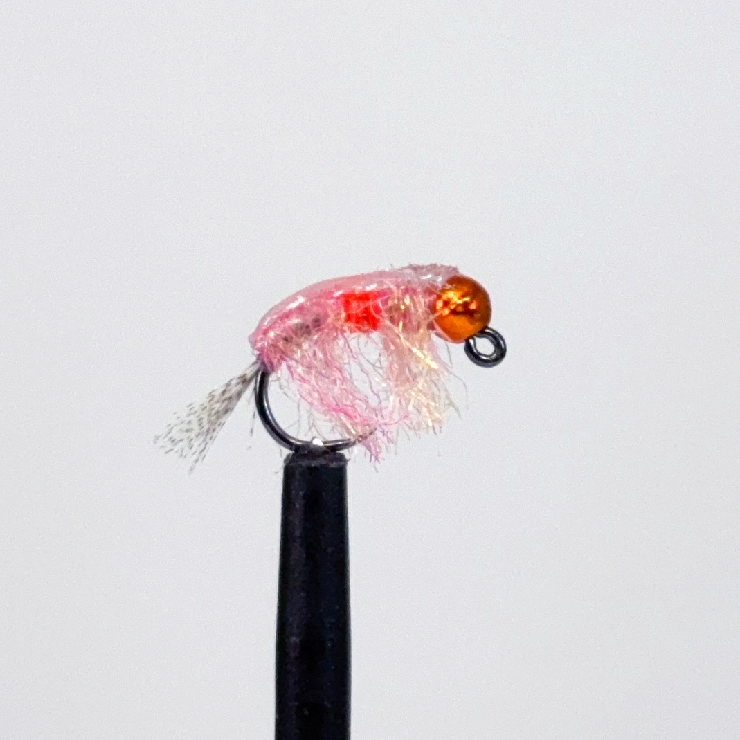 Lulow's Pimp Shrimp