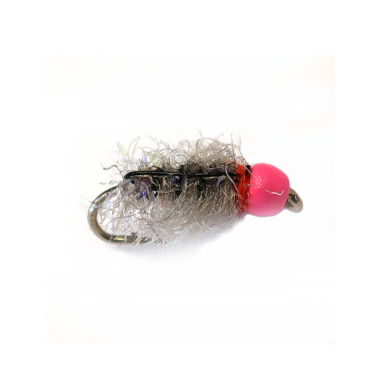 Preseason 2026 YFG's Bubblegum UV Sow