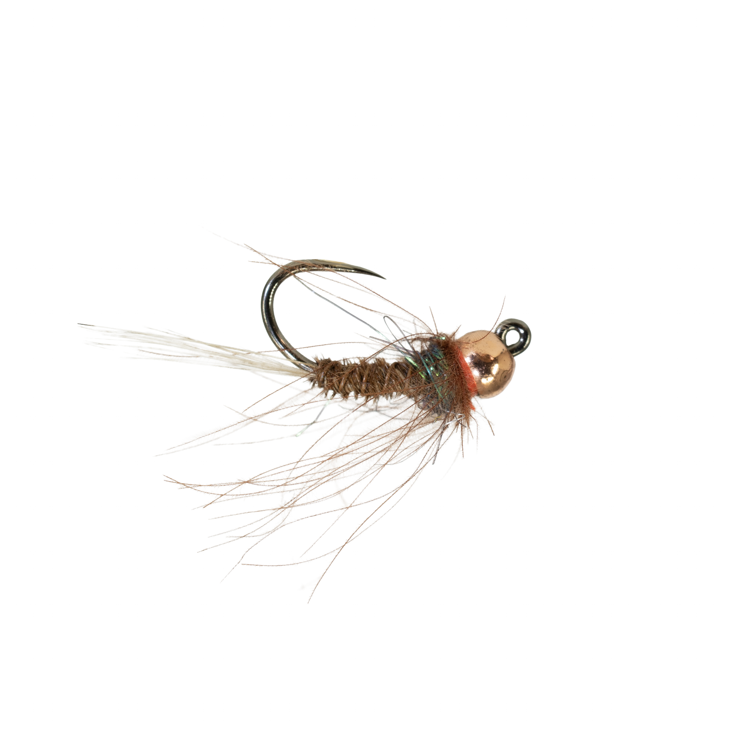 YFG's CDC Frenchman - Peacock