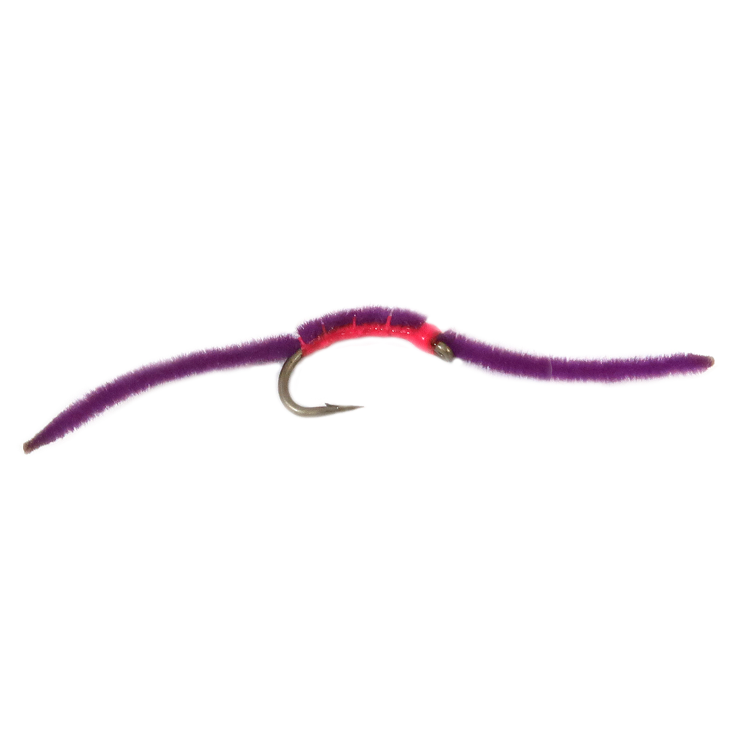 San Juan Worm