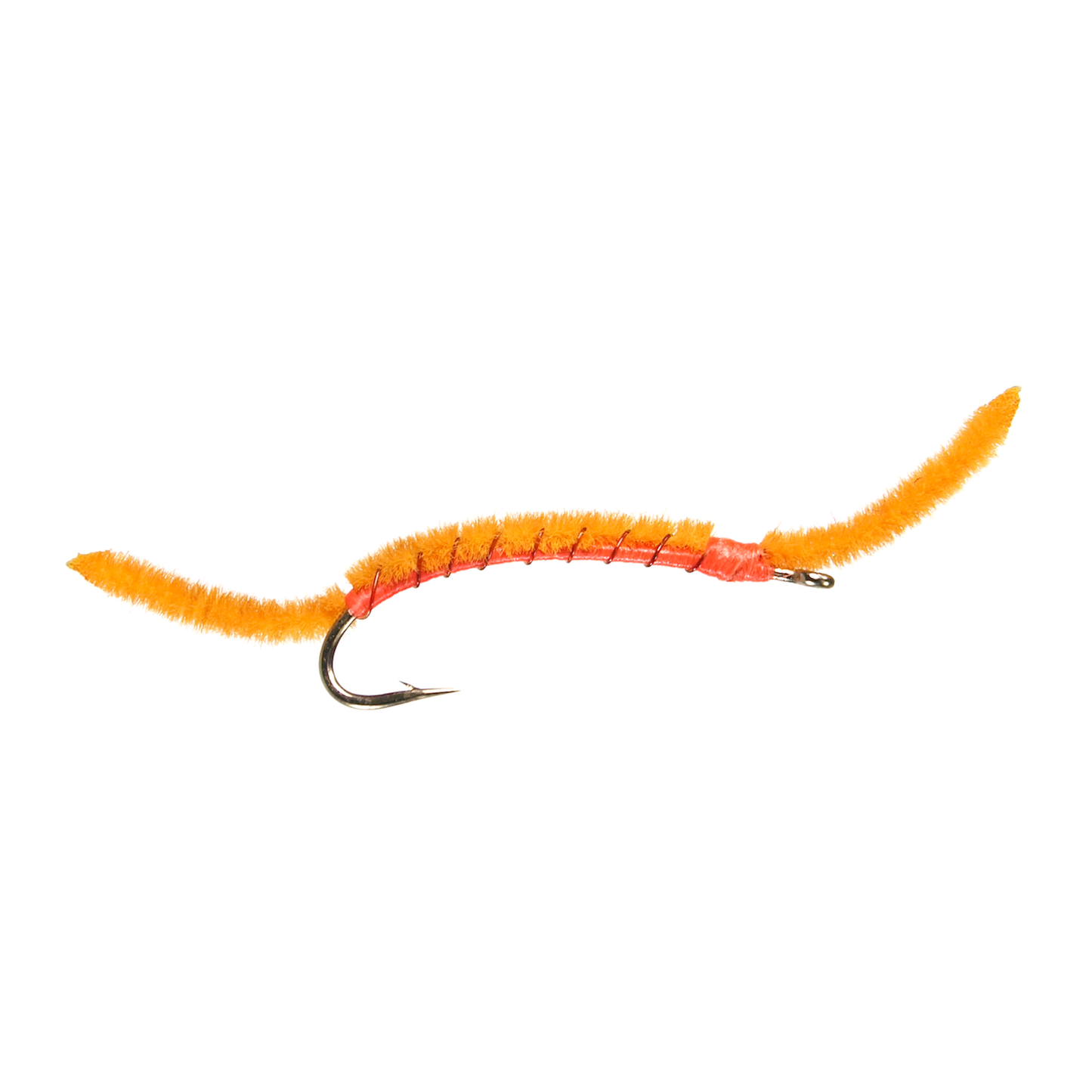 San Juan Worm