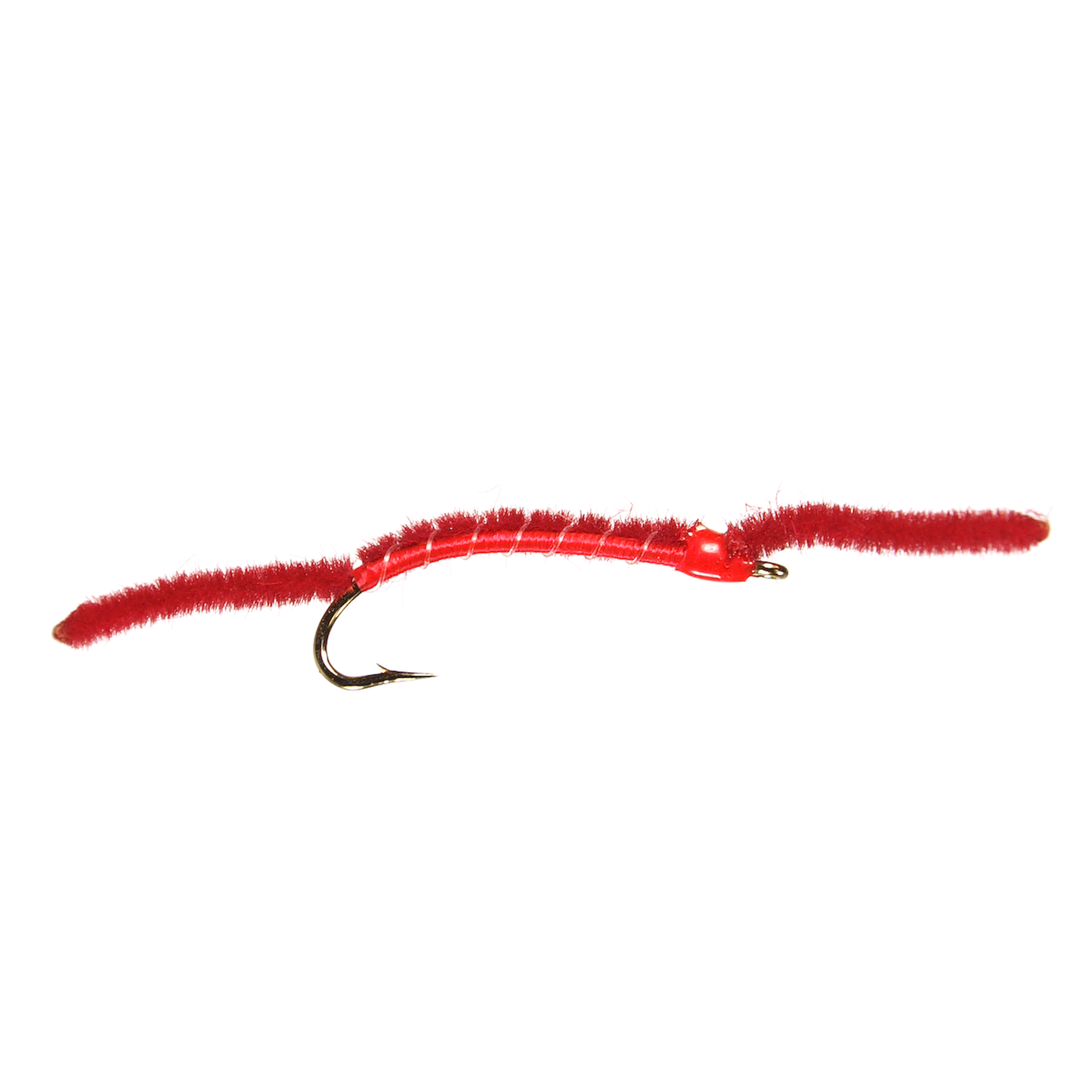 San Juan Worm