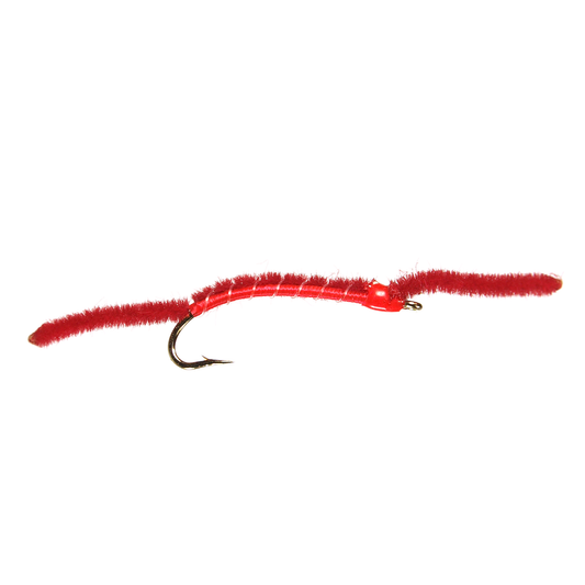 San Juan Worm