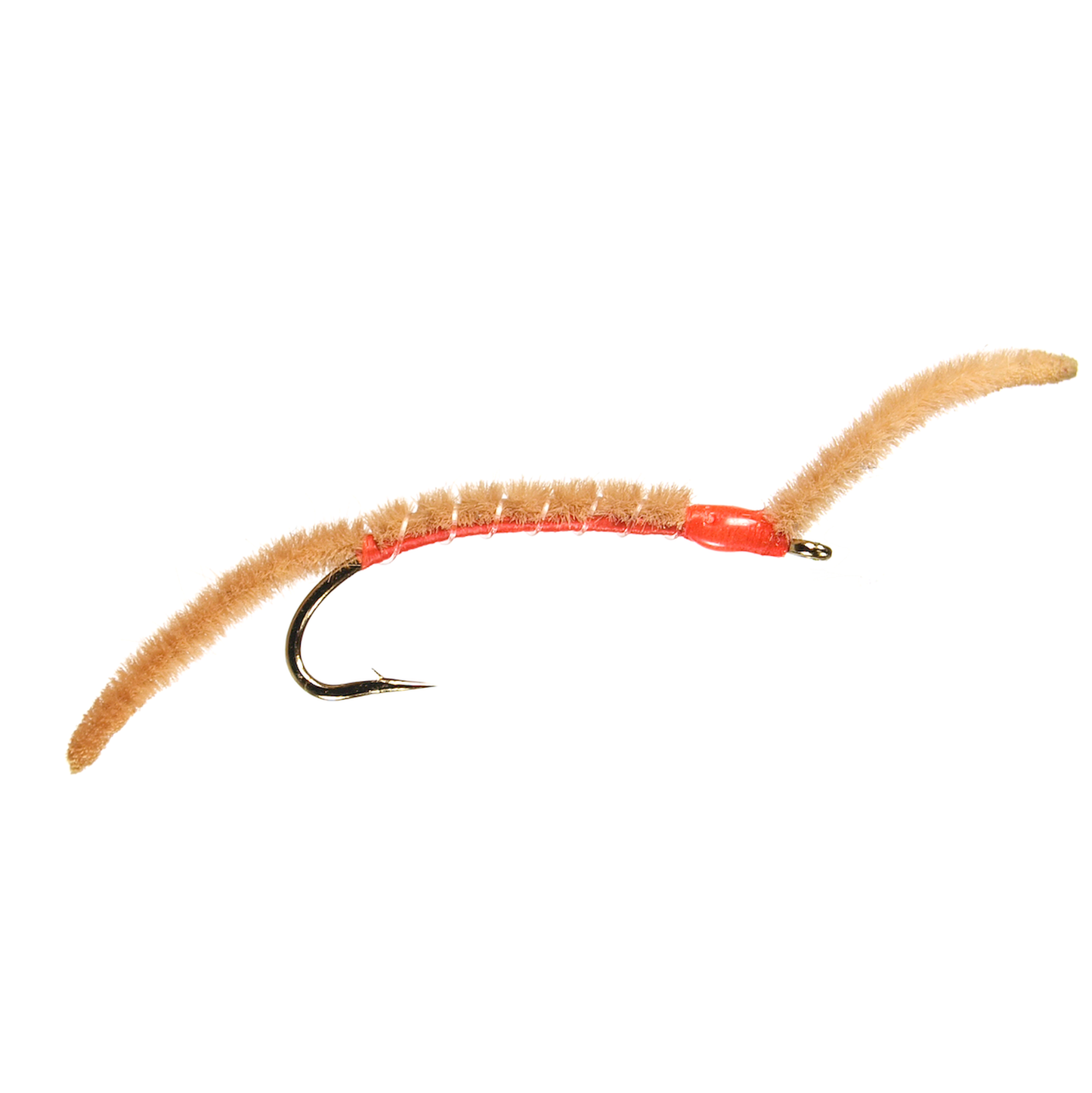 San Juan Worm