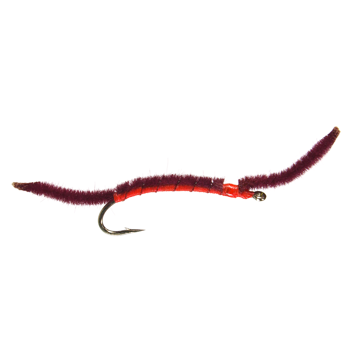 San Juan Worm