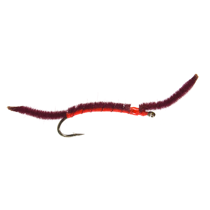 San Juan Worm