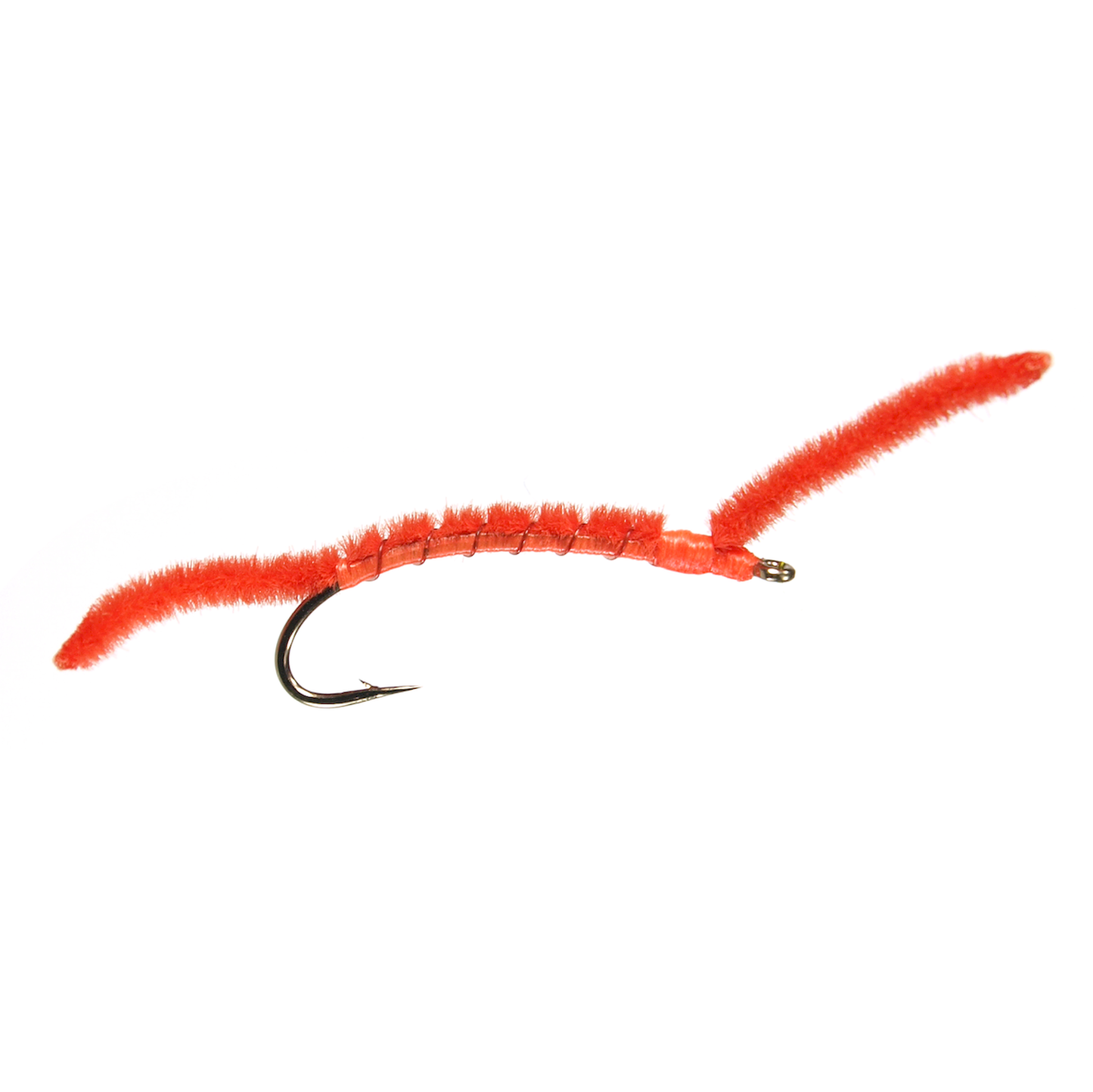 San Juan Worm
