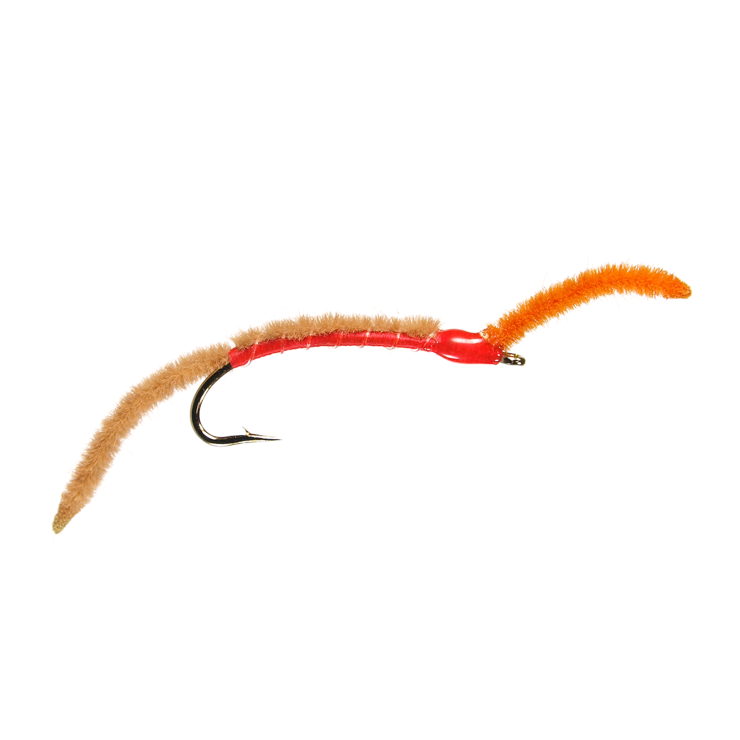 San Juan Worm