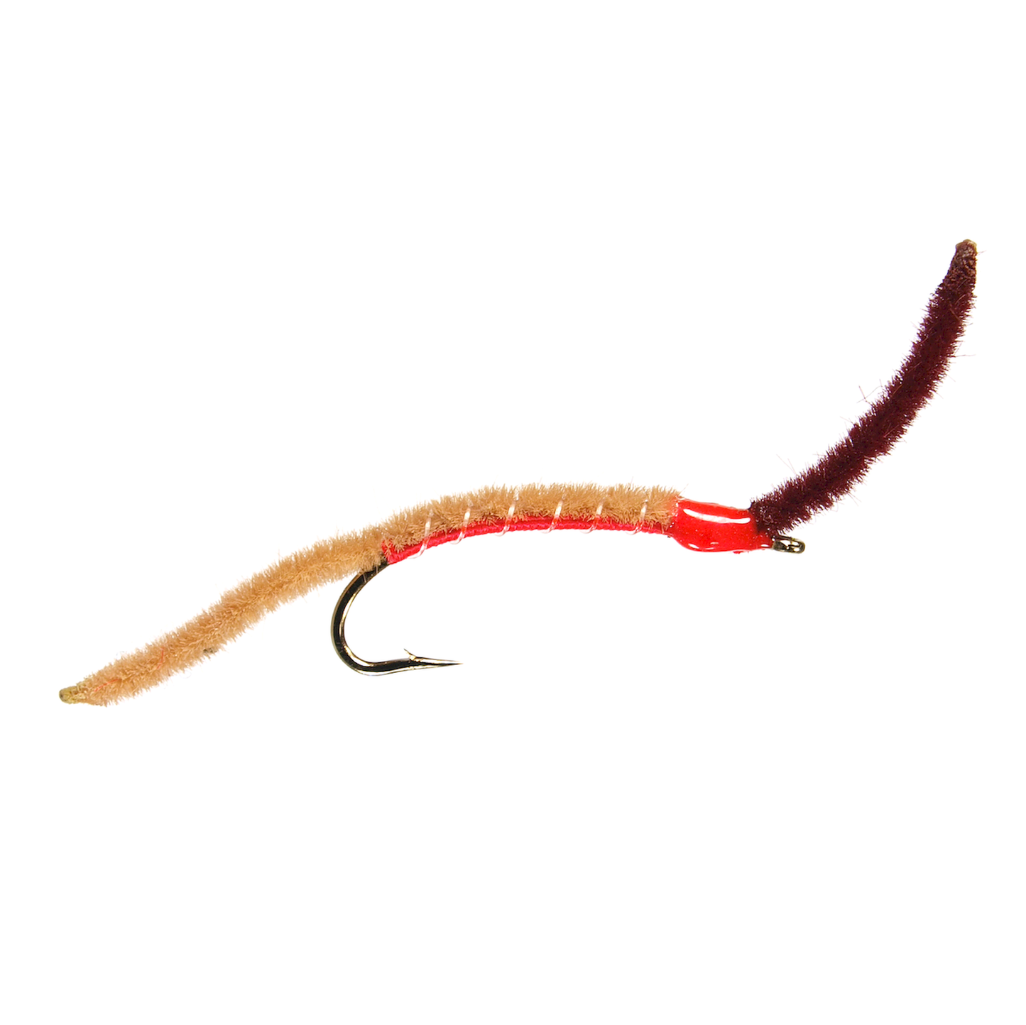 San Juan Worm