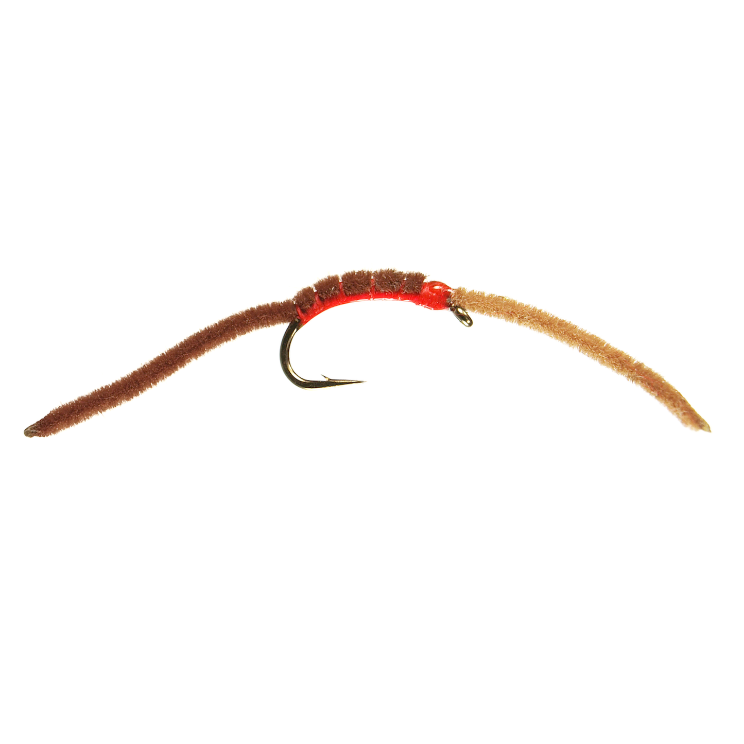 Preseason 2026 San Juan Worm