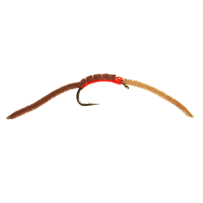 San Juan Worm