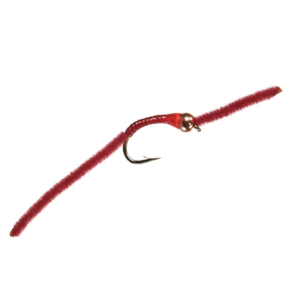 BH San Juan Worm