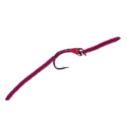 BH San Juan Worm