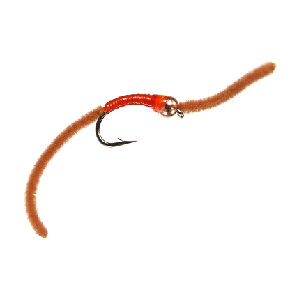 Preseason 2026 BH San Juan Worm