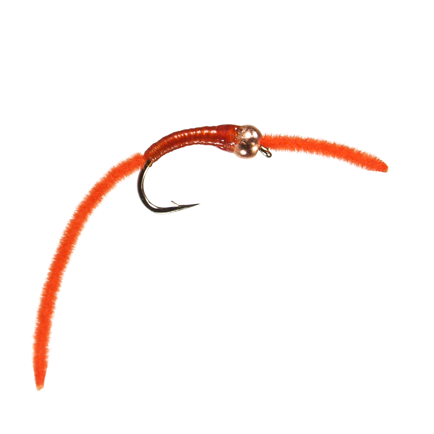 BH San Juan Worm