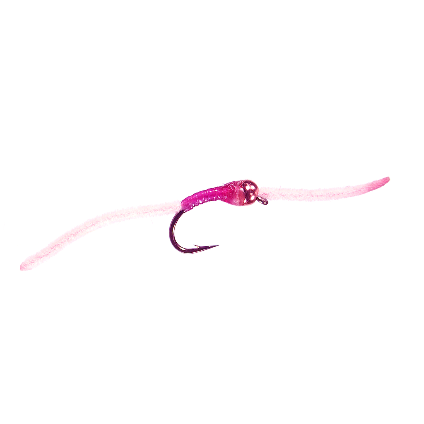 BH San Juan Worm